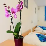 Boutique Loka Bed & Breakfast 4*