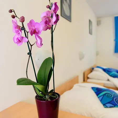 Boutique Loka Bed & Breakfast 4*