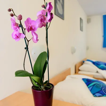 Boutique Loka Bed and Breakfast 4*