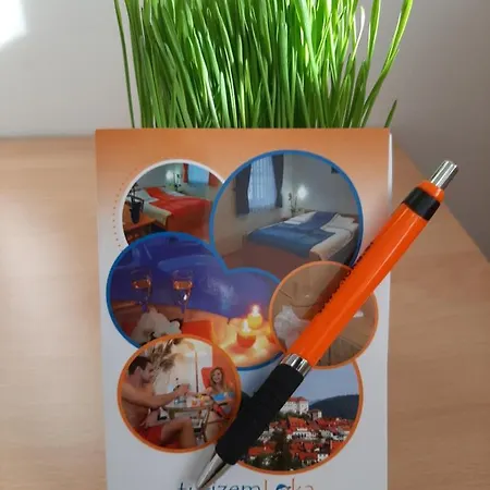 Bed and Breakfast Boutique Loka Škofja Loka