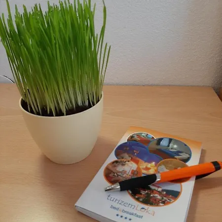 Boutique Loka Bed and Breakfast Škofja Loka