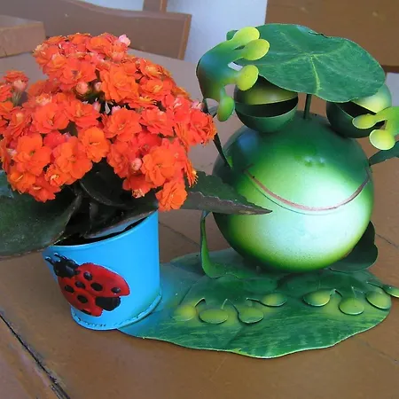 Bed and Breakfast Boutique Loka Škofja Loka