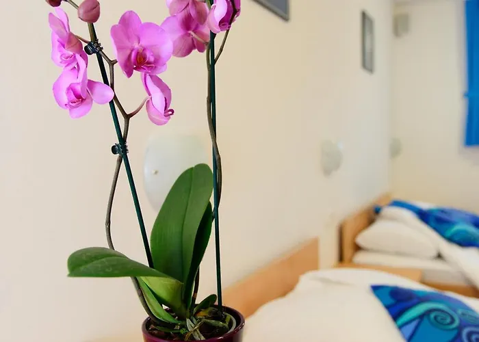 Boutique Loka 住宿加早餐酒店 4*