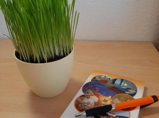 Boutique Loka לינה וארוחת בוקר שקופיה-לוקה