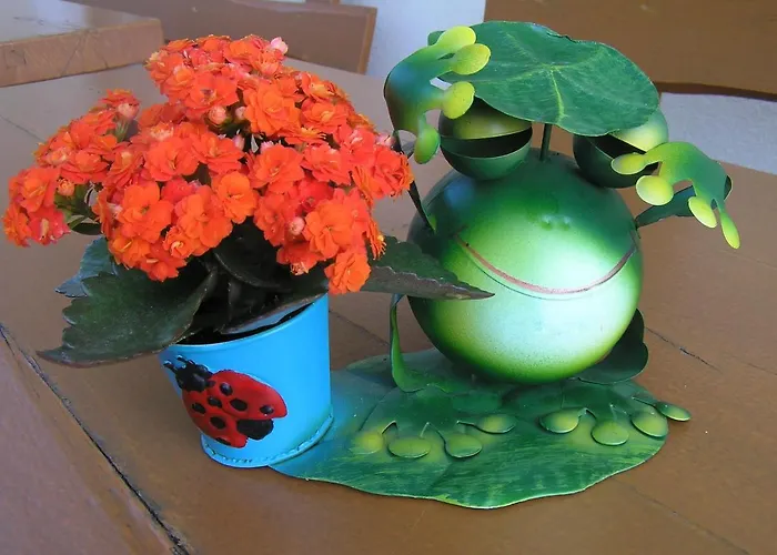 לינה וארוחת בוקר Boutique Loka שקופיה-לוקה